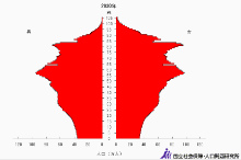 s2030_jinko_japan