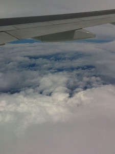 20110904-100050.jpg