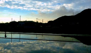夕暮れ田植え時期201306