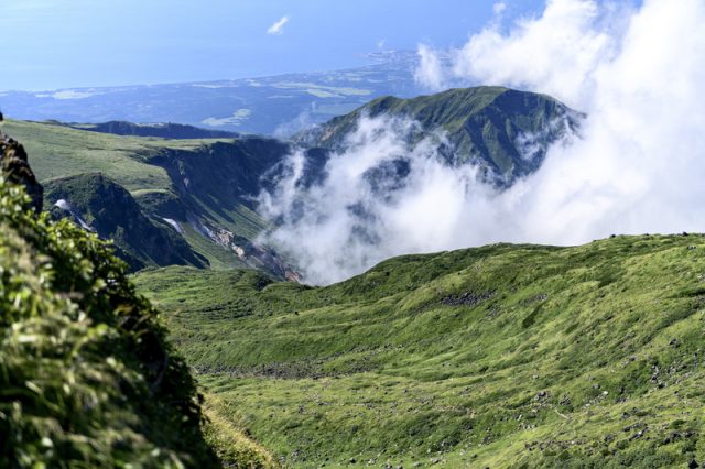 山