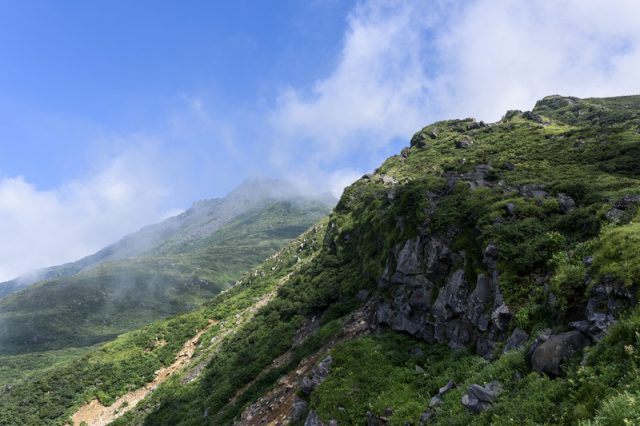 夏山